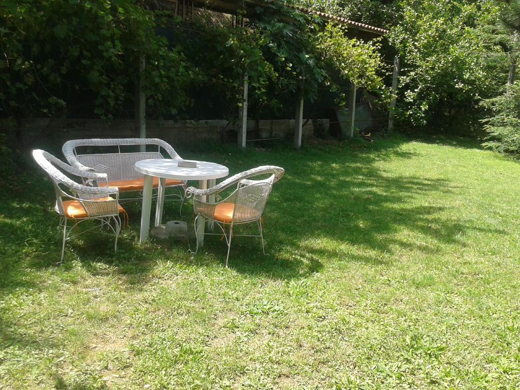 Apartment Sasha Kotor Extérieur photo