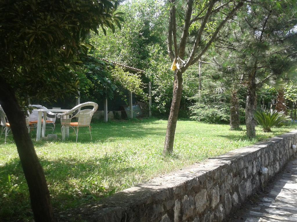 Apartment Sasha Kotor Extérieur photo