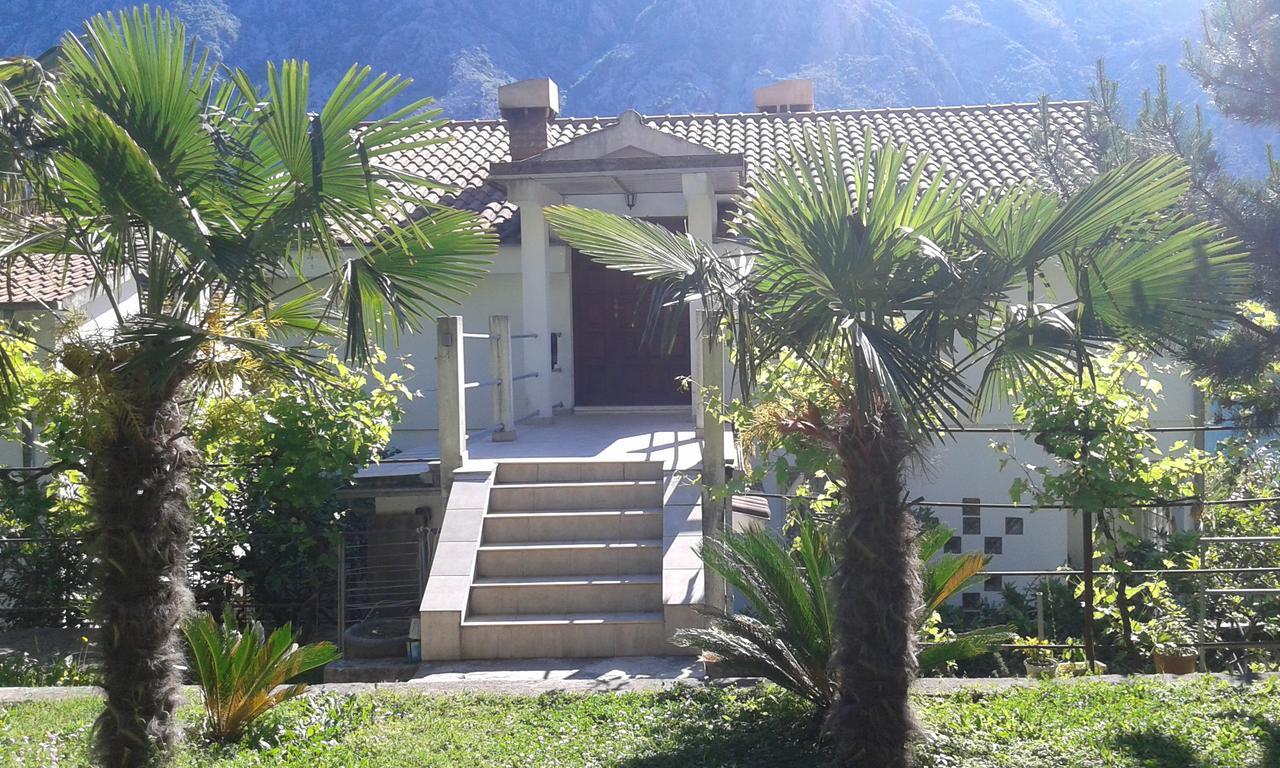 Apartment Sasha Kotor Extérieur photo